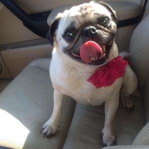 Meet your Posher, Ezra